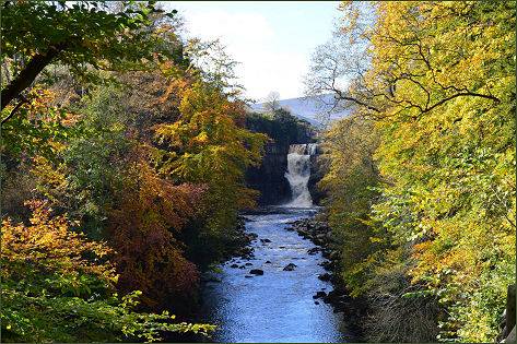 High Force