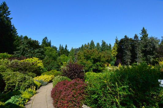 Thorpe Perrow Arboretum