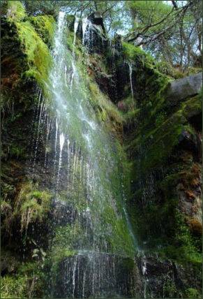 Mallyan Spout