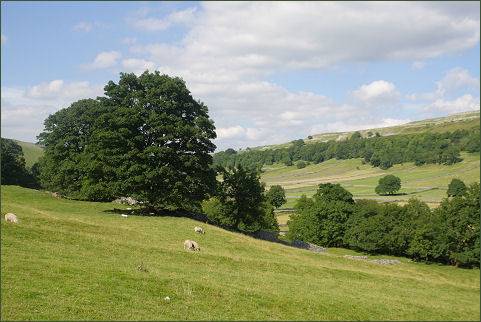 Yorkshire Dales