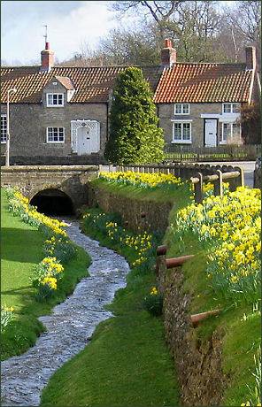 Helmsley